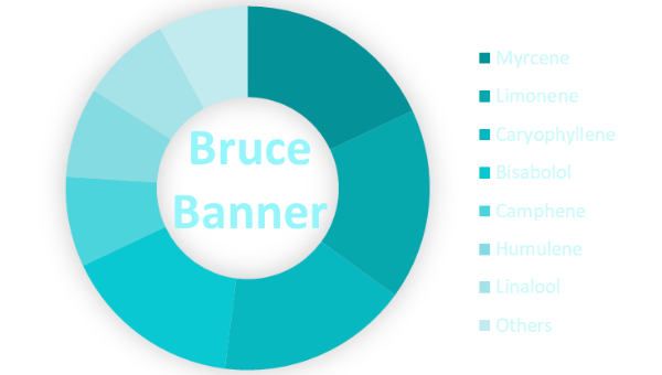 Bruce Banner Terpenes