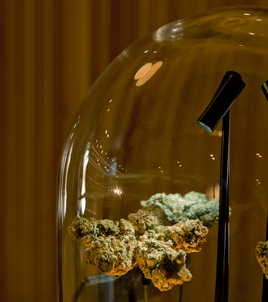 Product Globe Closeup-